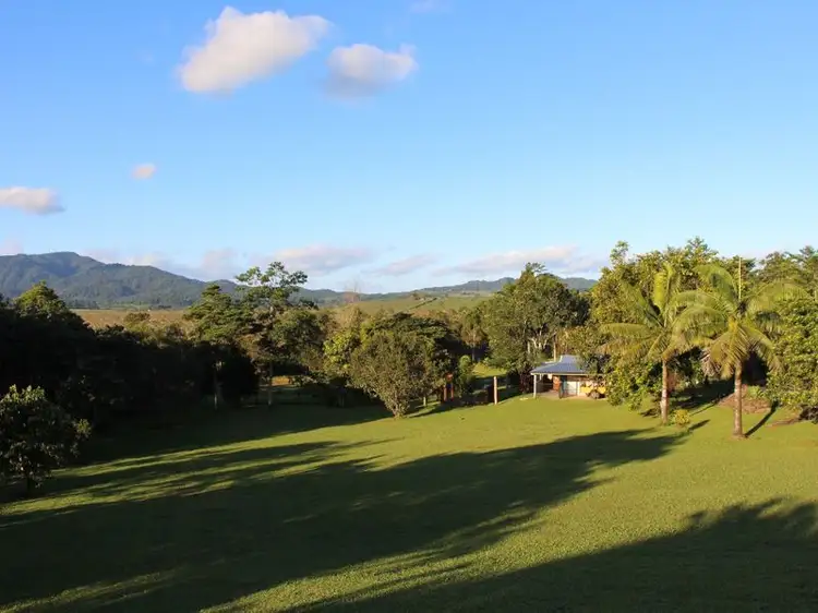 14 O'Connor Dr, Innisfail QLD 4860