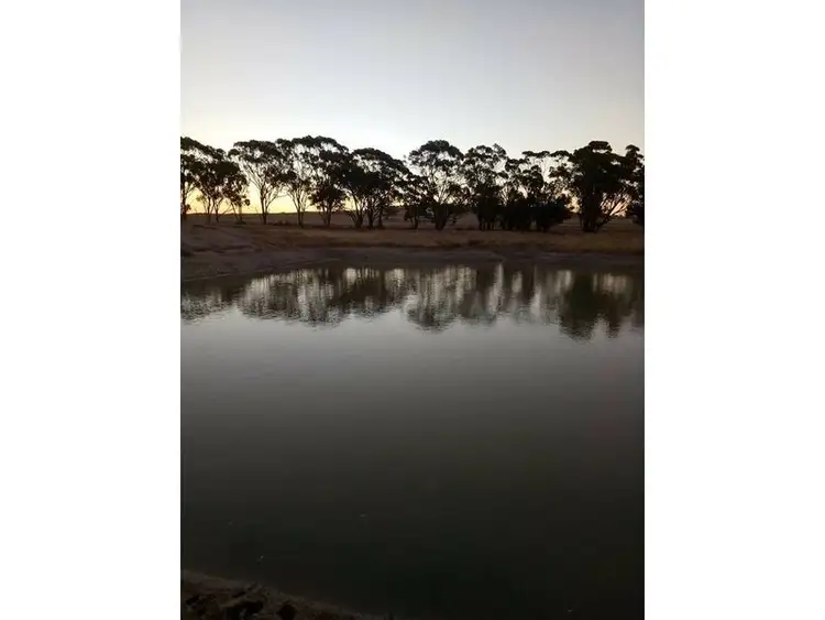 Sixth view of Homely rural property listing, Lot 3767 Fiegert Road, Cunderdin WA 6407