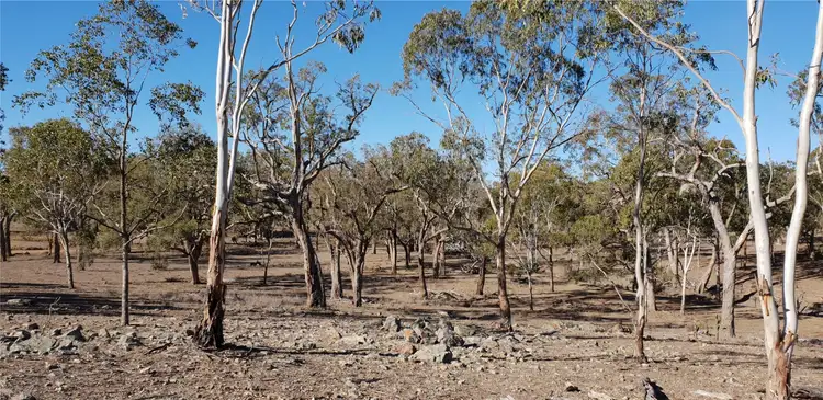 Third view of Homely land listing, Lot 5 Leyburn Forestry Road, Thanes Creek QLD 4370