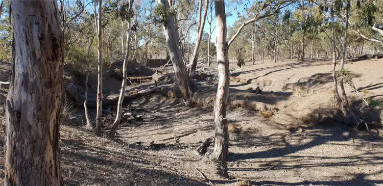 Fourth view of Homely land listing, Lot 5 Leyburn Forestry Road, Thanes Creek QLD 4370