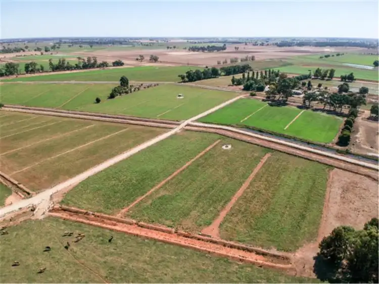 Fifth view of Homely rural property listing, 467 Orams Road, Katunga VIC 3640