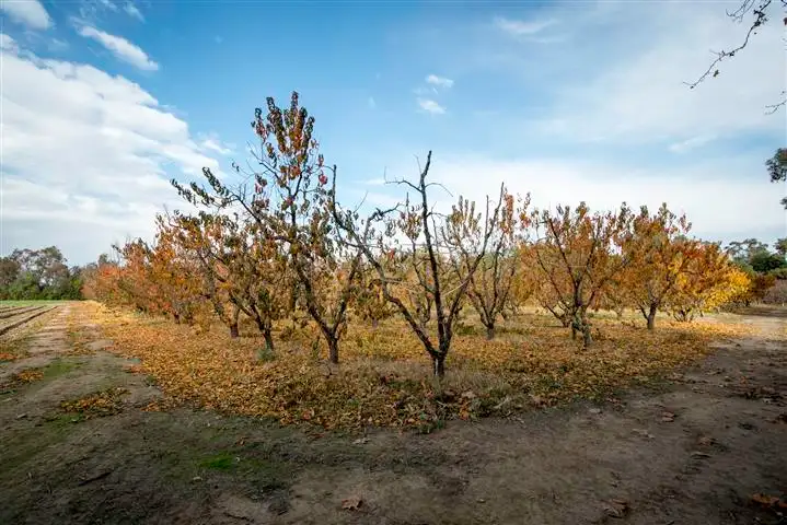 Second view of Homely rural property listing, 52 Kangan Road, Koonoomoo VIC 3644