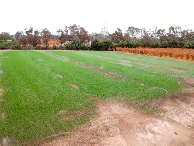 Fourth view of Homely rural property listing, 52 Kangan Road, Koonoomoo VIC 3644