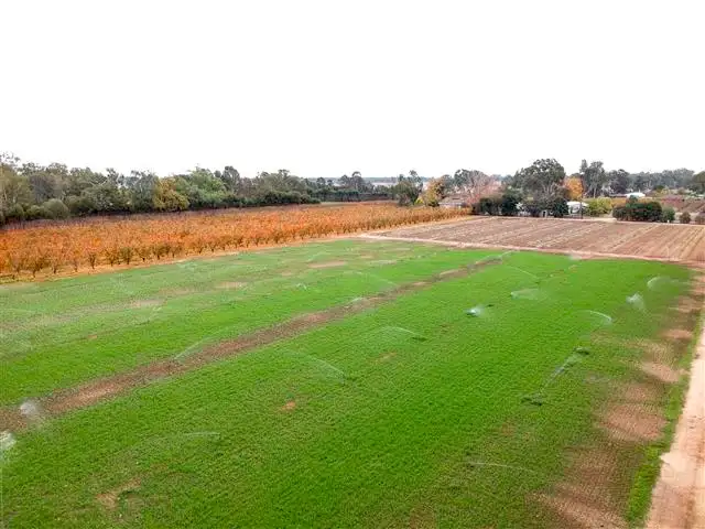 Fifth view of Homely rural property listing, 52 Kangan Road, Koonoomoo VIC 3644