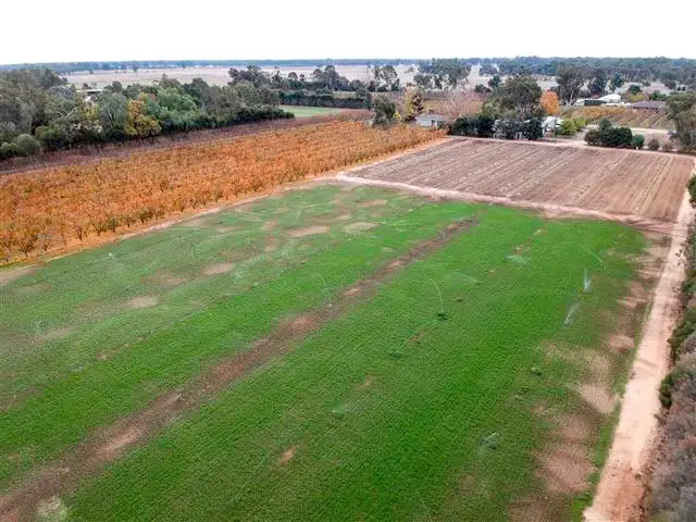 Sixth view of Homely rural property listing, 52 Kangan Road, Koonoomoo VIC 3644