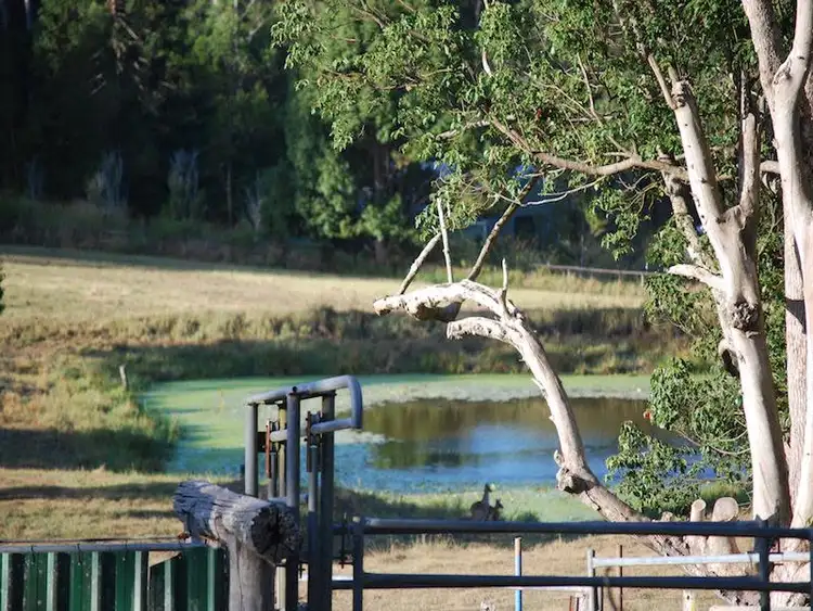 Seventh view of Homely house listing, 101 Gumboil Rd, Lake Macdonald QLD 4563
