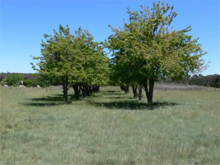 Fifth view of Homely land listing, 112 Schumann Lane, Thulimbah via, Stanthorpe QLD 4380
