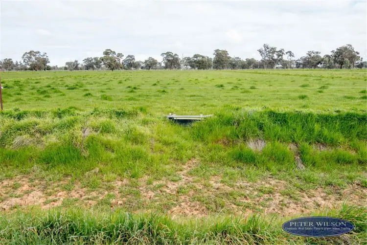 Seventh view of Homely rural property listing, 939 Ryan Road, Lancaster VIC 3620