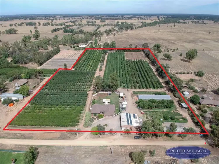 Main view of Homely rural property listing, 36 Kangan Road, Koonoomoo VIC 3644