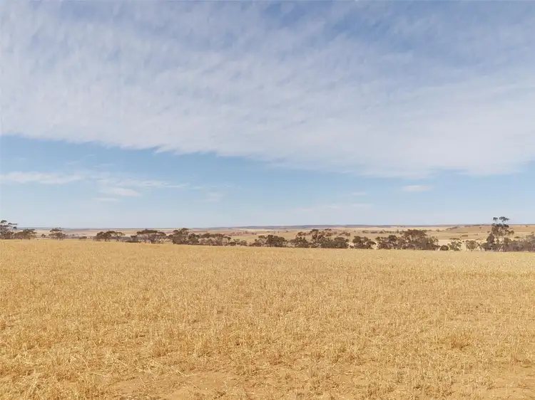 Fifth view of Homely house listing, 136 Keith Road, Mannum SA 5238