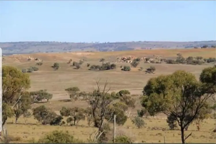 Seventh view of Homely house listing, 136 Keith Road, Mannum SA 5238
