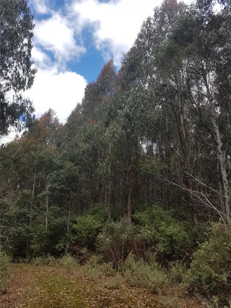 Second view of Homely rural property listing, 124-126 Camden Road, Tayene TAS 7259