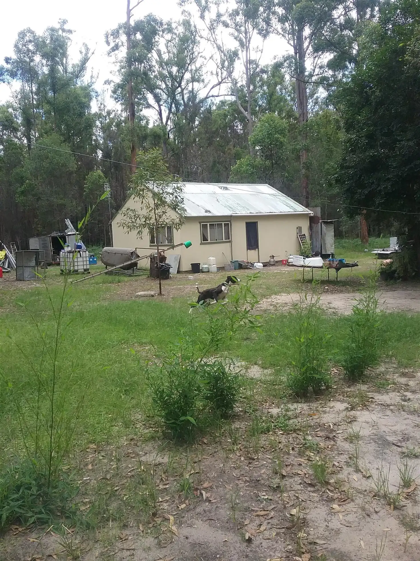 Main view of Homely land listing, Lot 4 Mangrove Creek Road, Ashby Heights NSW 2463