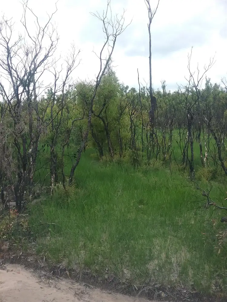 Third view of Homely land listing, Lot 4 Mangrove Creek Road, Ashby Heights NSW 2463