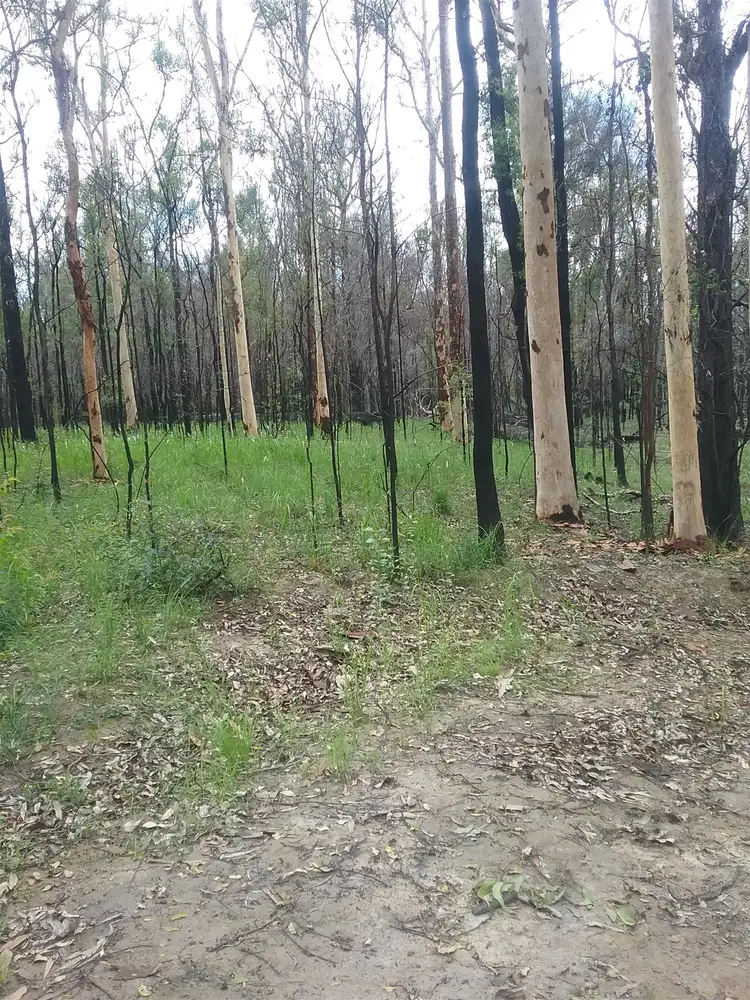 Fifth view of Homely land listing, Lot 4 Mangrove Creek Road, Ashby Heights NSW 2463