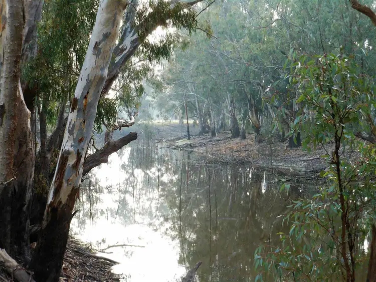 Second view of Homely rural property listing, 172 Hutchins Lane, Kotupna VIC 3638