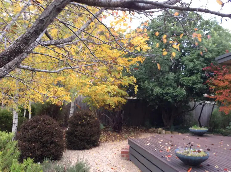 Third view of Homely house listing, 85 Stanbridge Street, Daylesford VIC 3460
