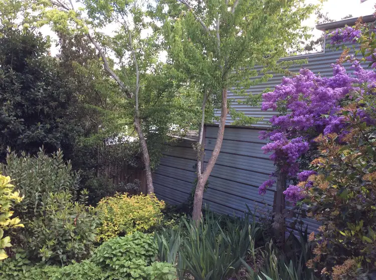 Fourth view of Homely house listing, 85 Stanbridge Street, Daylesford VIC 3460