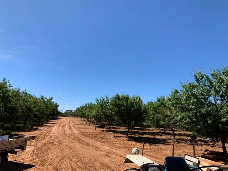 Third view of Homely rural property listing, 193 Trioda Street, Red Cliffs VIC 3496