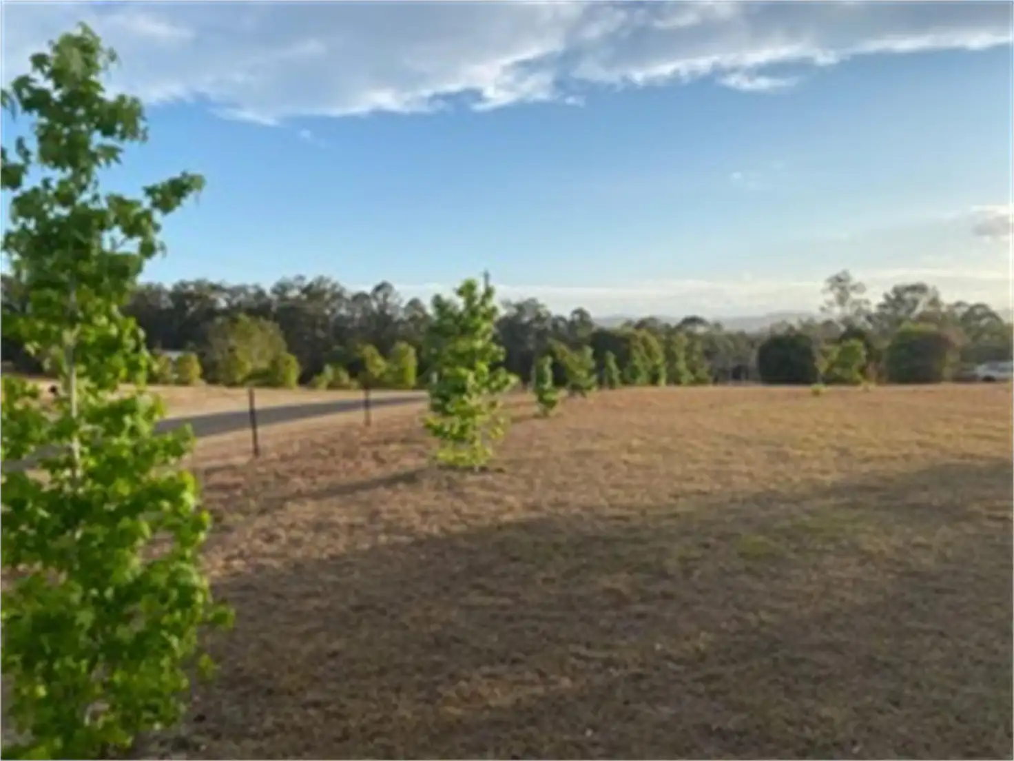 Main view of Homely land listing, 55 Monaro Drive, D'aguilar QLD 4514