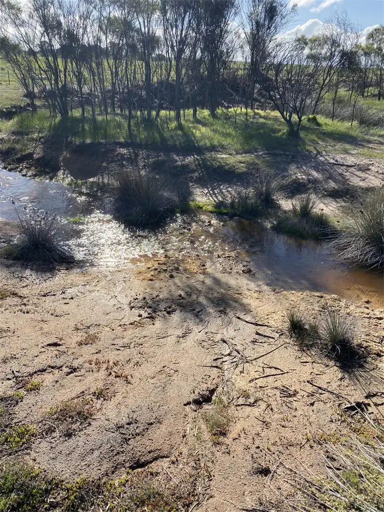 Main view of Homely land listing, Lot 45 McCabe Road, Brookton WA 6306