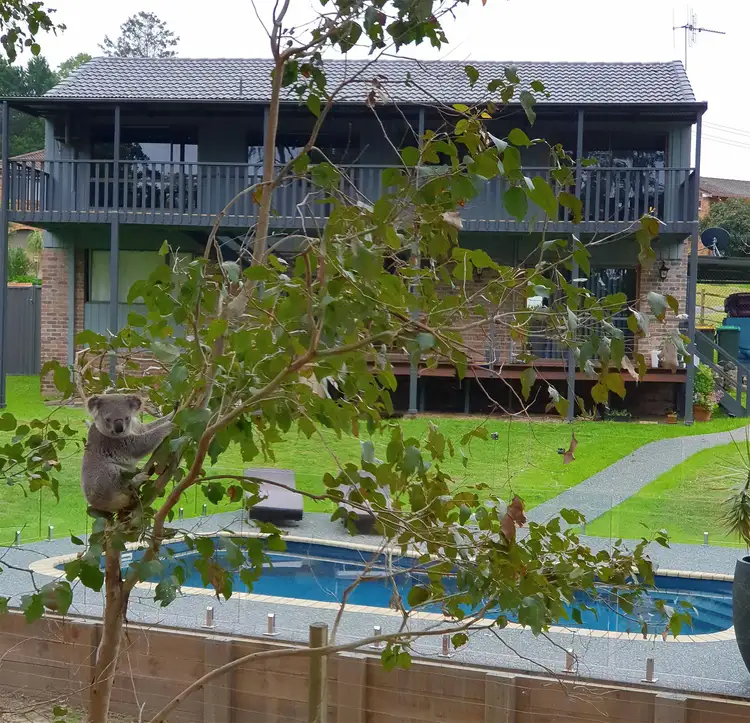 Main view of Homely house listing, 19 Caparra Close, Tinonee NSW 2430