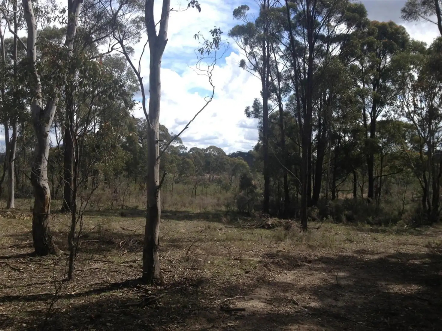 Main view of Homely land listing, 1829 Cable Road, Mudgee NSW 2850
