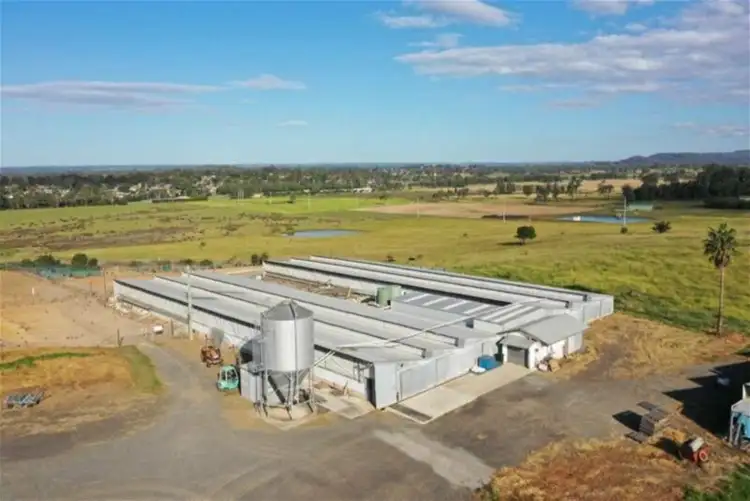 Fourth view of Homely rural property listing, 239 Cawdor Road, Camden NSW 2570