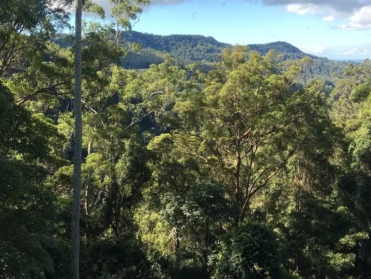 Second view of Homely rural property listing, 1/886 Tomewin Road, Murwillumbah NSW 2484