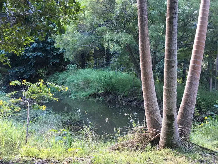 Sixth view of Homely rural property listing, 1/886 Tomewin Road, Murwillumbah NSW 2484