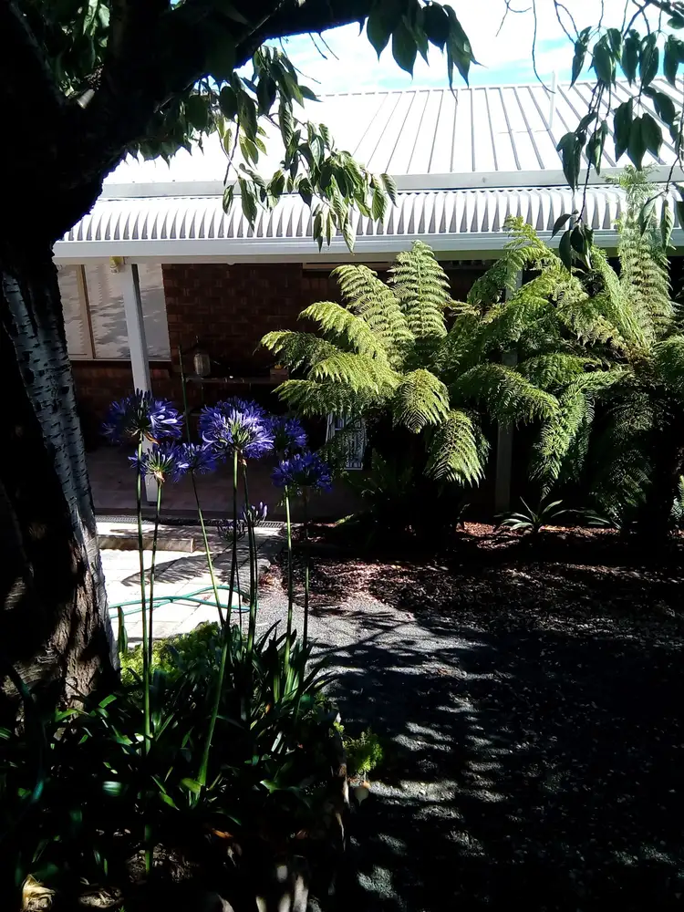 Second view of Homely house listing, 40 Erythos Grove, St Helens TAS 7216