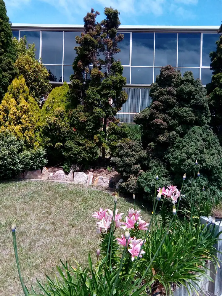 Third view of Homely house listing, 40 Erythos Grove, St Helens TAS 7216