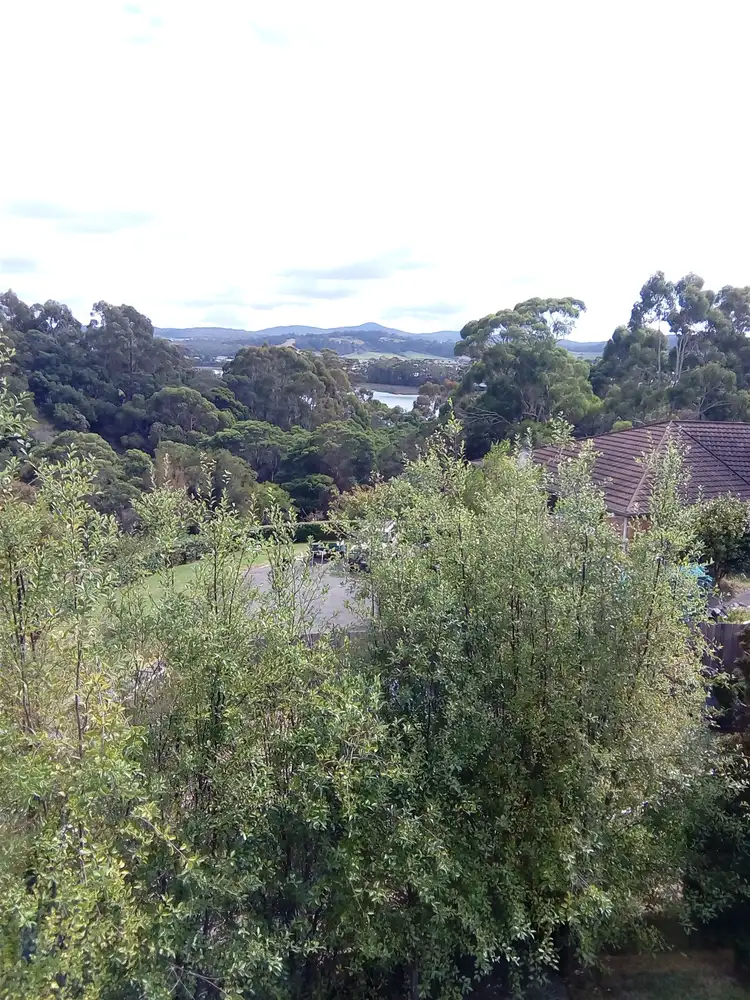 Fifth view of Homely house listing, 40 Erythos Grove, St Helens TAS 7216