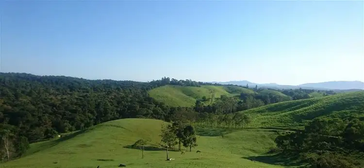 Fourth view of Homely house listing, 794 Seamark Road, Malanda QLD 4885