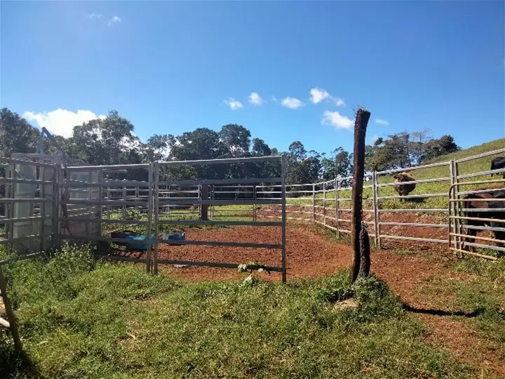 Fifth view of Homely house listing, 794 Seamark Road, Malanda QLD 4885
