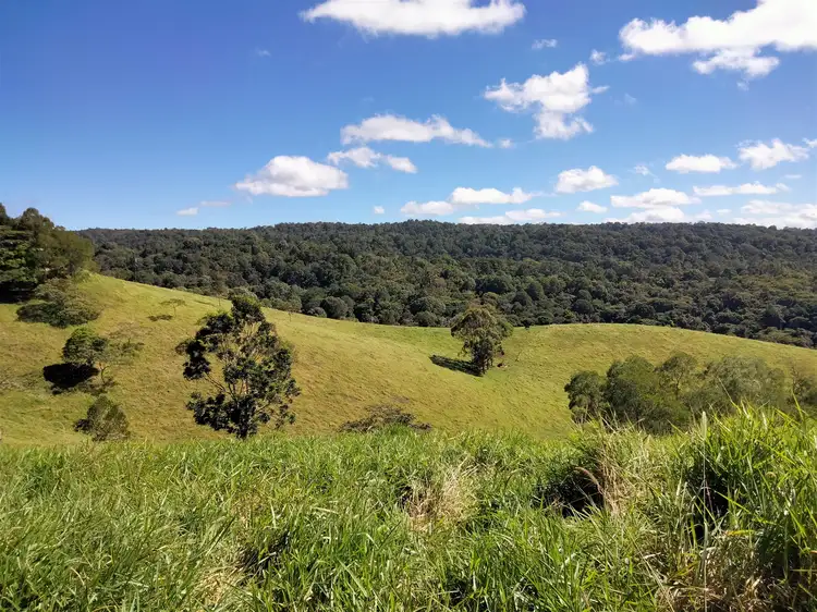 Seventh view of Homely house listing, 794 Seamark Road, Malanda QLD 4885