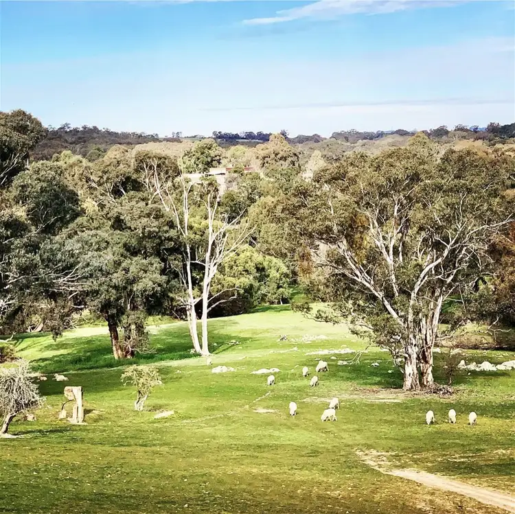 Third view of Homely other listing, 25 Fitzroy Street, Binalong NSW 2584