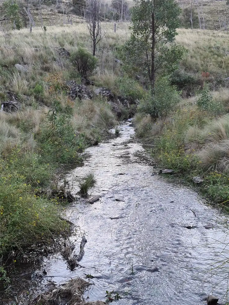 Second view of Homely land listing, . Yarrabin Road, Mudgee NSW 2850