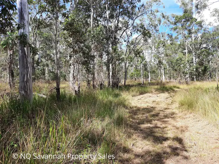 Second view of Homely land listing, 295 Millstream Parade, Millstream QLD 4888