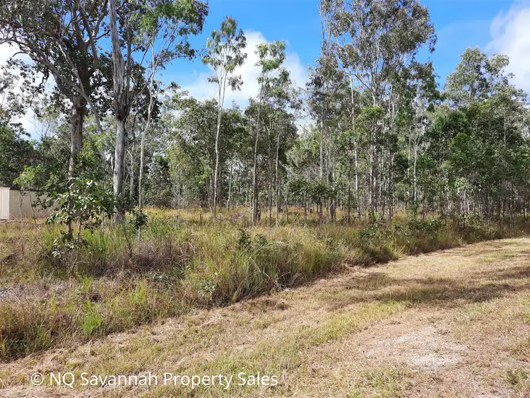 Third view of Homely land listing, 295 Millstream Parade, Millstream QLD 4888
