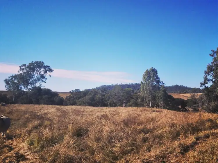 Second view of Homely rural property listing, Lot 3 Kavanaghs Road, Buaraba QLD 4311