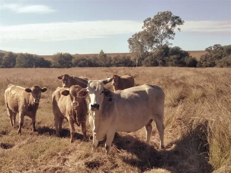 Third view of Homely rural property listing, Lot 3 Kavanaghs Road, Buaraba QLD 4311