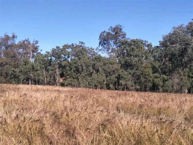 Fourth view of Homely rural property listing, Lot 3 Kavanaghs Road, Buaraba QLD 4311