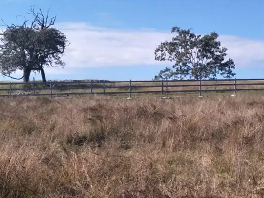 Fifth view of Homely rural property listing, Lot 3 Kavanaghs Road, Buaraba QLD 4311
