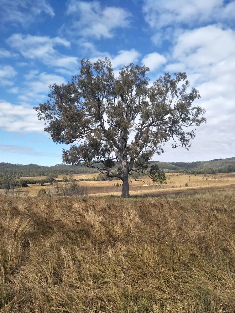 Seventh view of Homely rural property listing, Lot 3 Kavanaghs Road, Buaraba QLD 4311