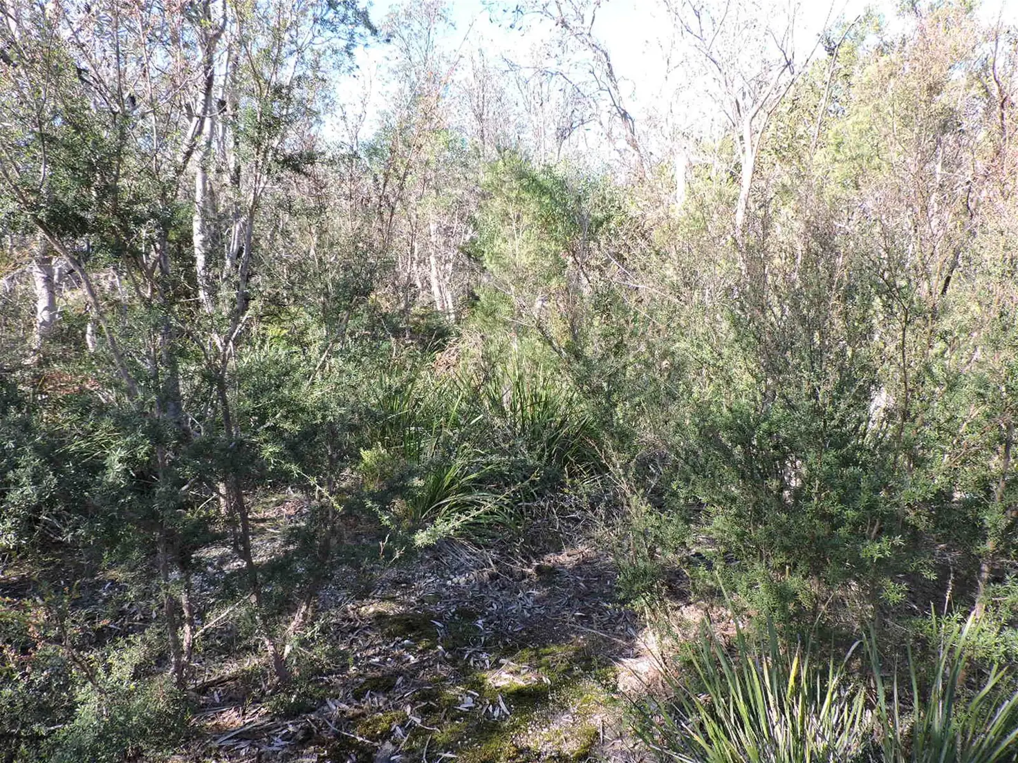 Main view of Homely land listing, 29 Flamingo, Golden Beach VIC 3851