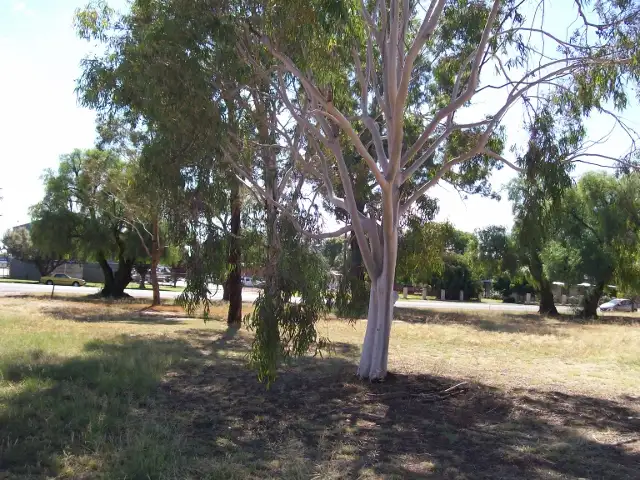 Fourth view of Homely land listing, lots 13-14 Chanter St, Berrigan NSW 2712