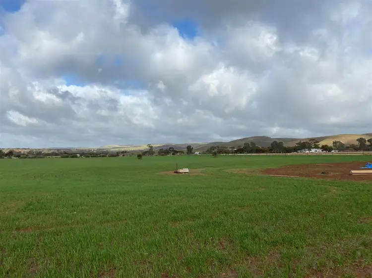 Fifth view of Homely rural property listing, 343 Sanderston Road, Sanderston SA 5237