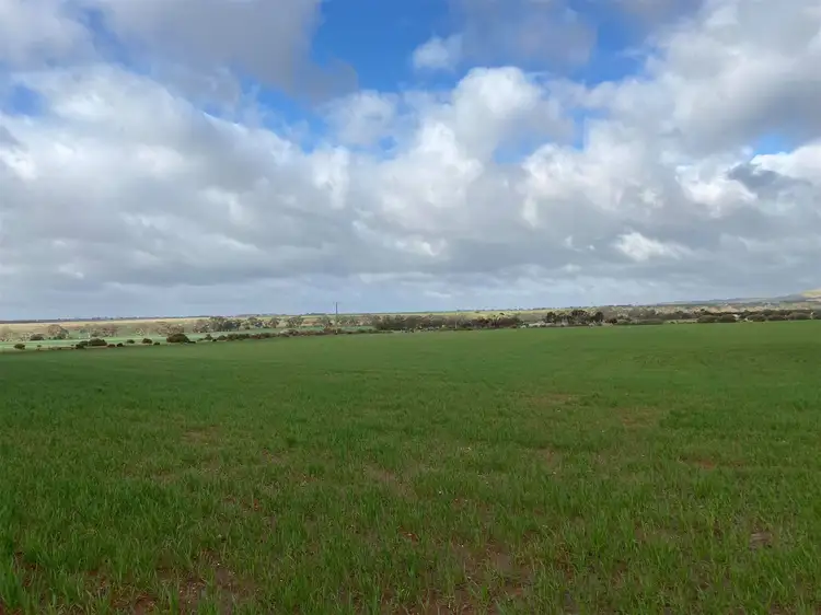 Seventh view of Homely rural property listing, 343 Sanderston Road, Sanderston SA 5237