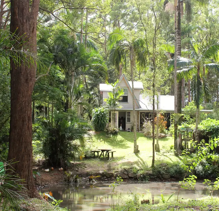 Second view of Homely rural property listing, 76 Citrus Road, Palmwoods QLD 4555